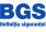 bgs
