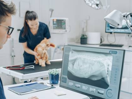 dailvet profesional